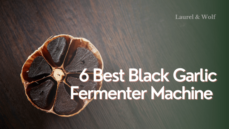 6 Best Black Garlic Fermenter Machine Of 2023 L W