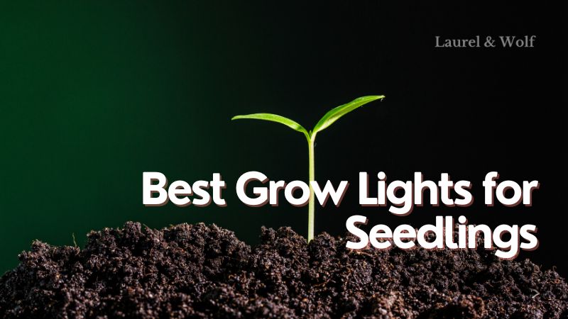 Best Grow Lights for Seedlings