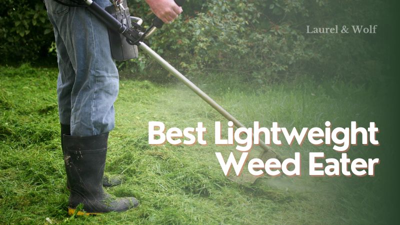 Best Lightweight Weed Eater