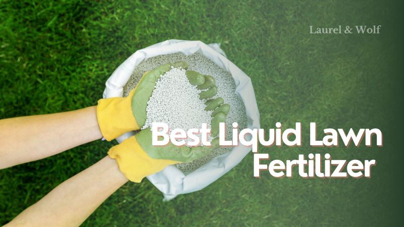 Best Liquid Lawn Fertilizer