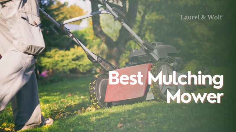 Best Mulching Mower