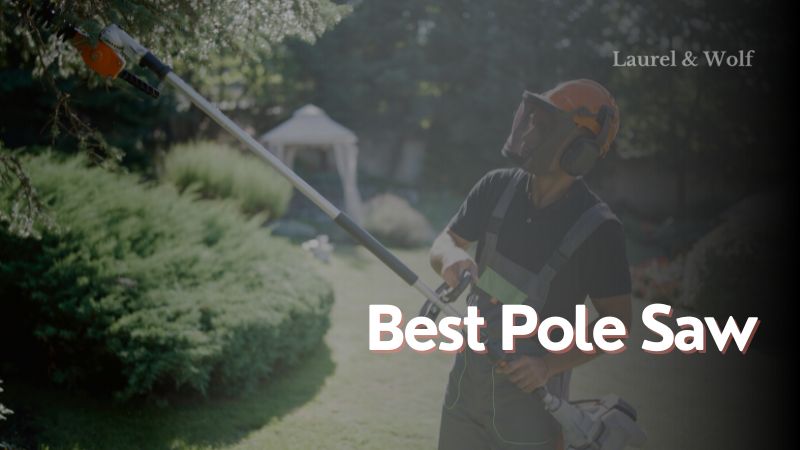 Best Pole Saw