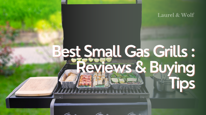 Best Small Gas Grills