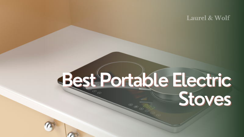 Best Portable Electric Stove